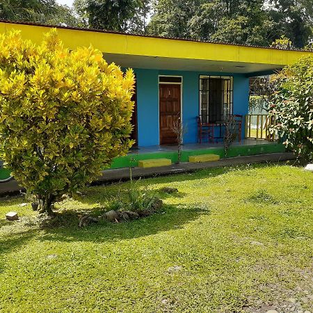 Magic Flower Rooms Cahuita Ngoại thất bức ảnh