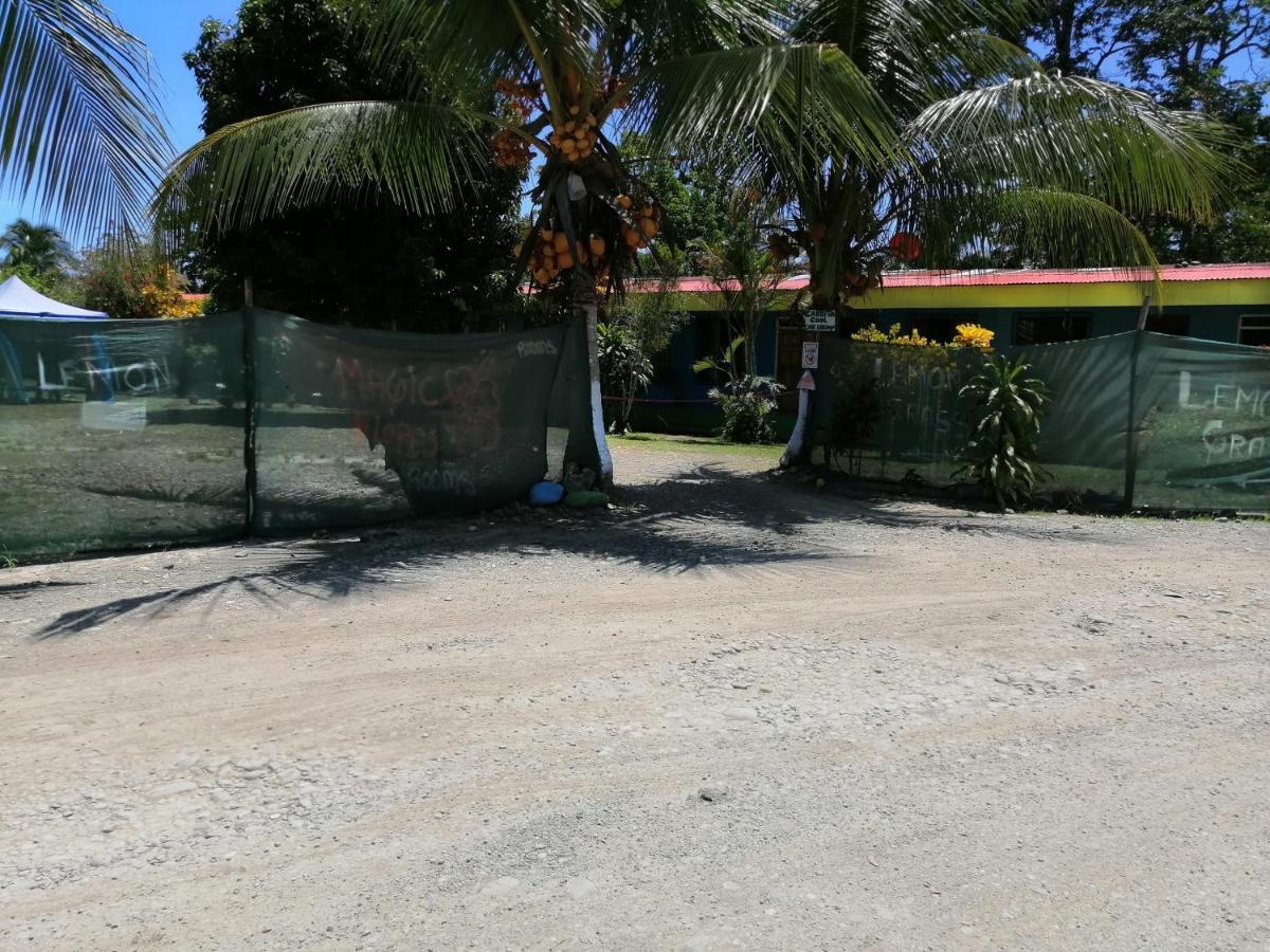 Magic Flower Rooms Cahuita Ngoại thất bức ảnh